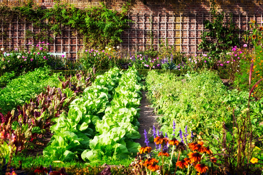 What is Sustainable Living? Definition and 13 Ideas For You
