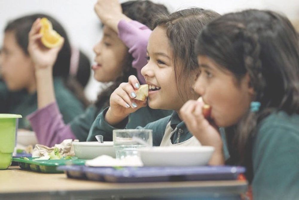 6 School Essentials for Healthy, Eco-Friendly Lunches